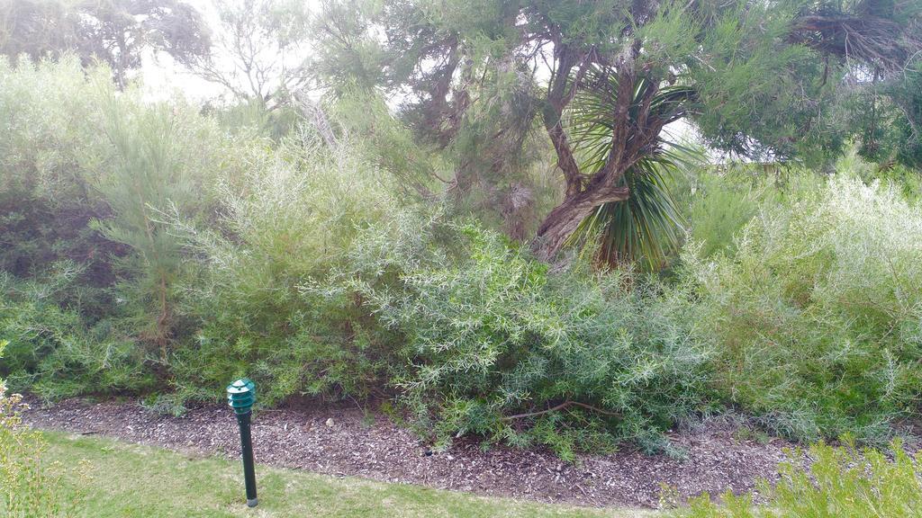 Margaret River Beach Apartments Gnarabup Exteriör bild